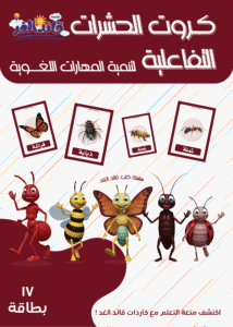 كروت الطيور التفاعلية قائد الغد